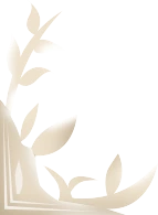 bg-corner-bottom-left